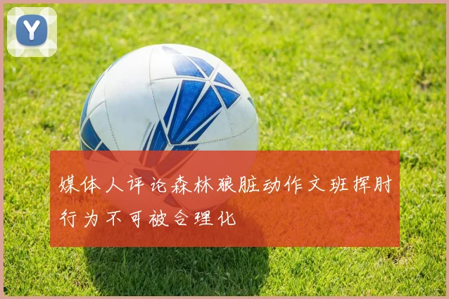 媒体人评论森林狼脏动作文班挥肘行为不可被合理化